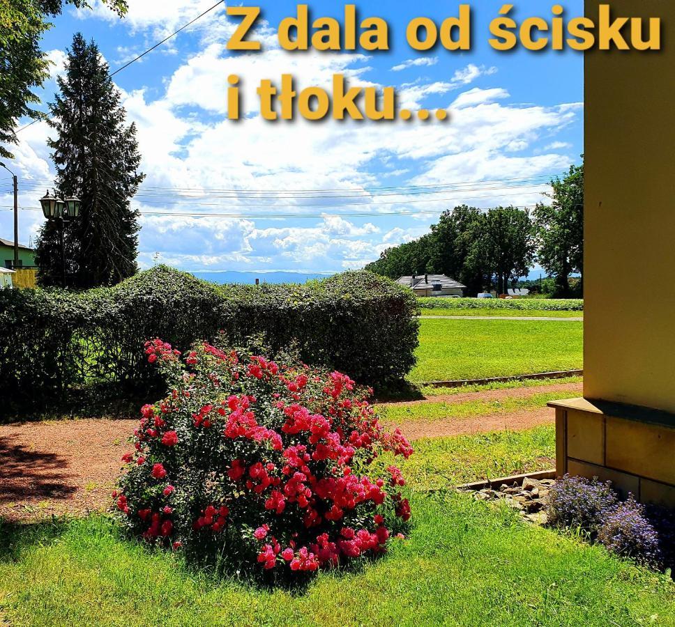 Palac Bazantarnia Pszczyna Esterno foto
