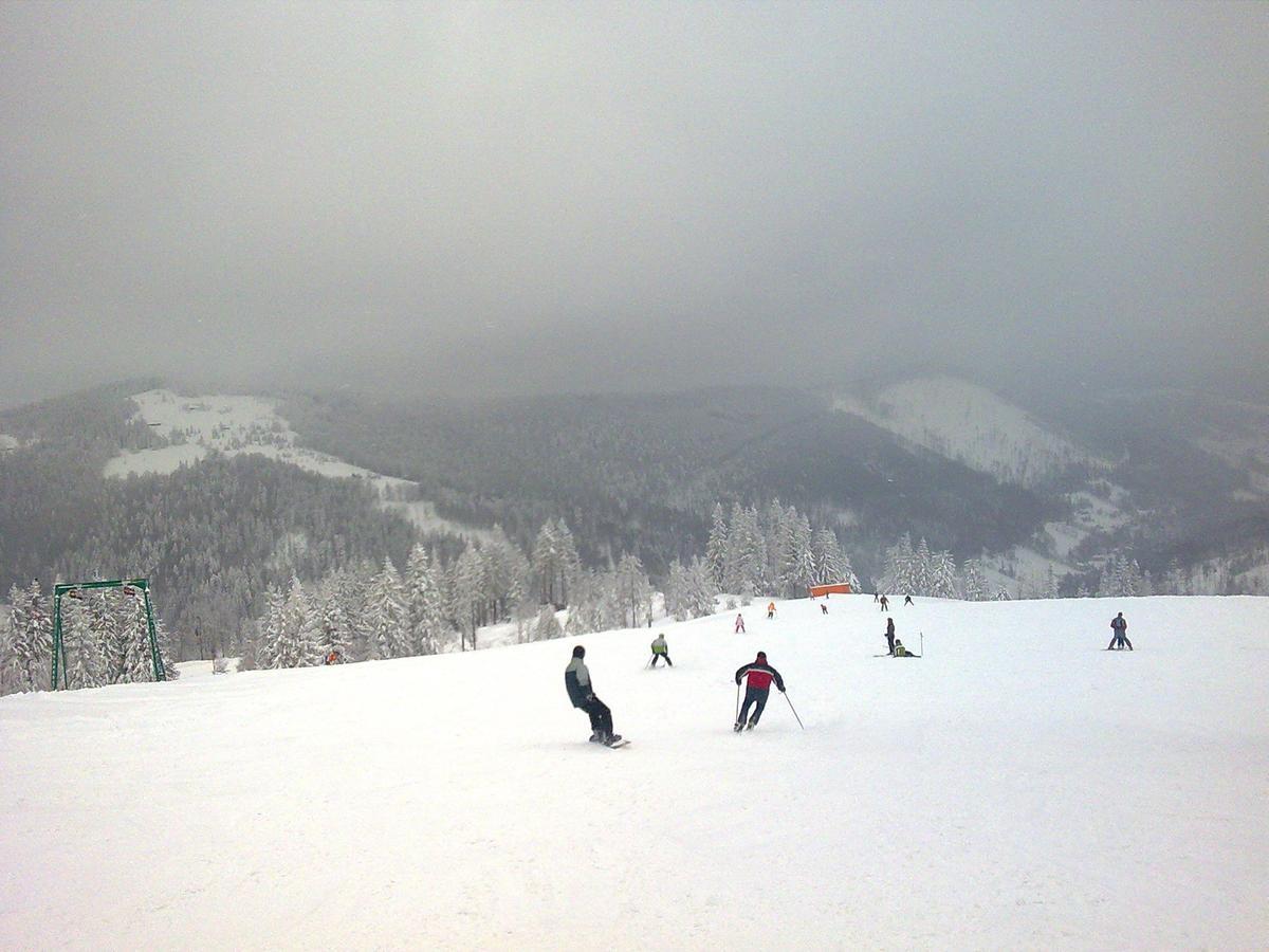 Palac Bazantarnia Pszczyna Esterno foto