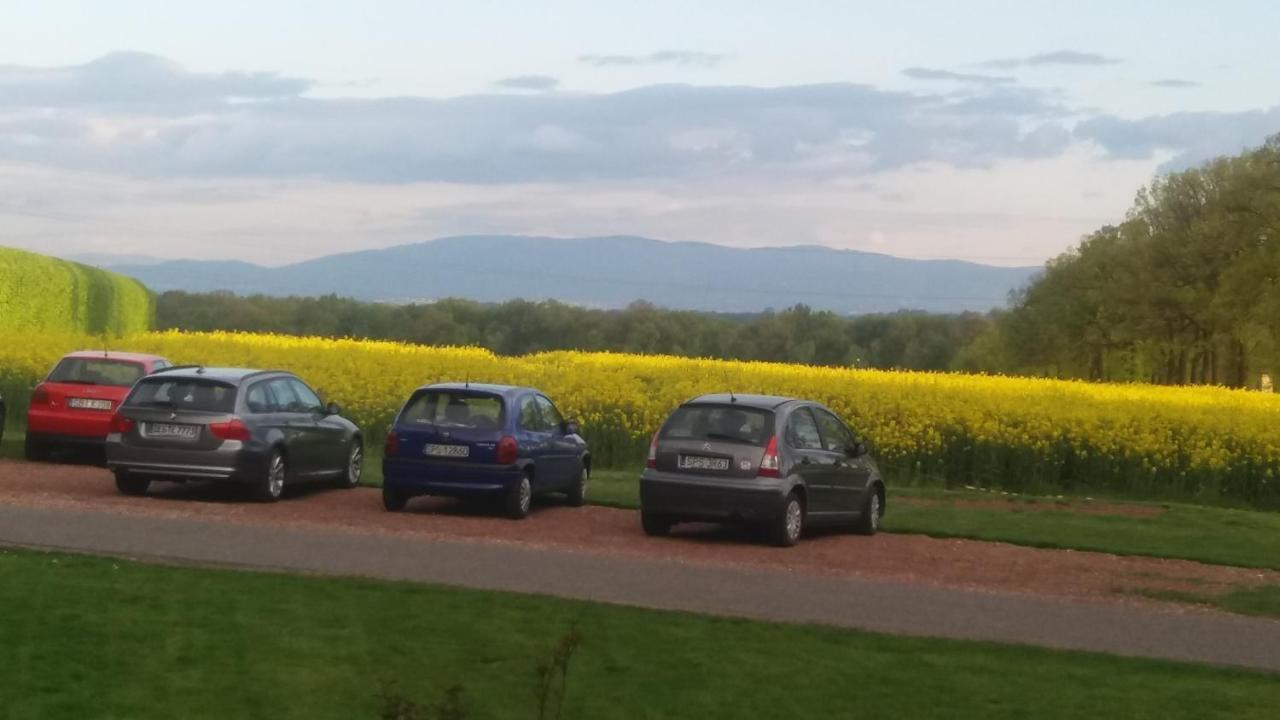 Palac Bazantarnia Pszczyna Esterno foto
